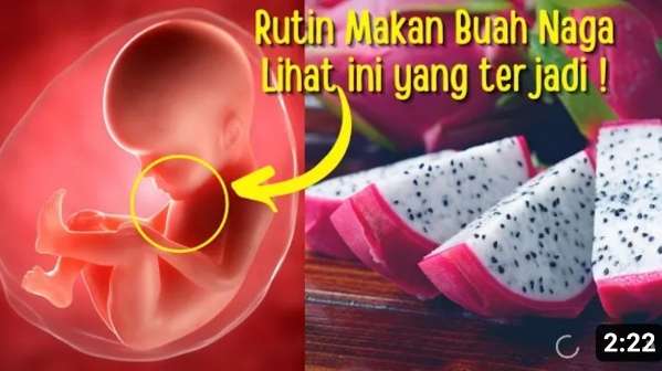 Manfaat Buah Naga untuk Ibu Hamil