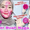 Manfaat Buah Naga untuk Wajah