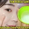 bahan pemutih wajah secara alami