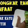 cara memakai minyak kayu putih untuk rambut