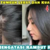 cara memakai teh hijau untuk rambut