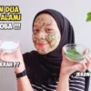 cara membuat masker daun kelor