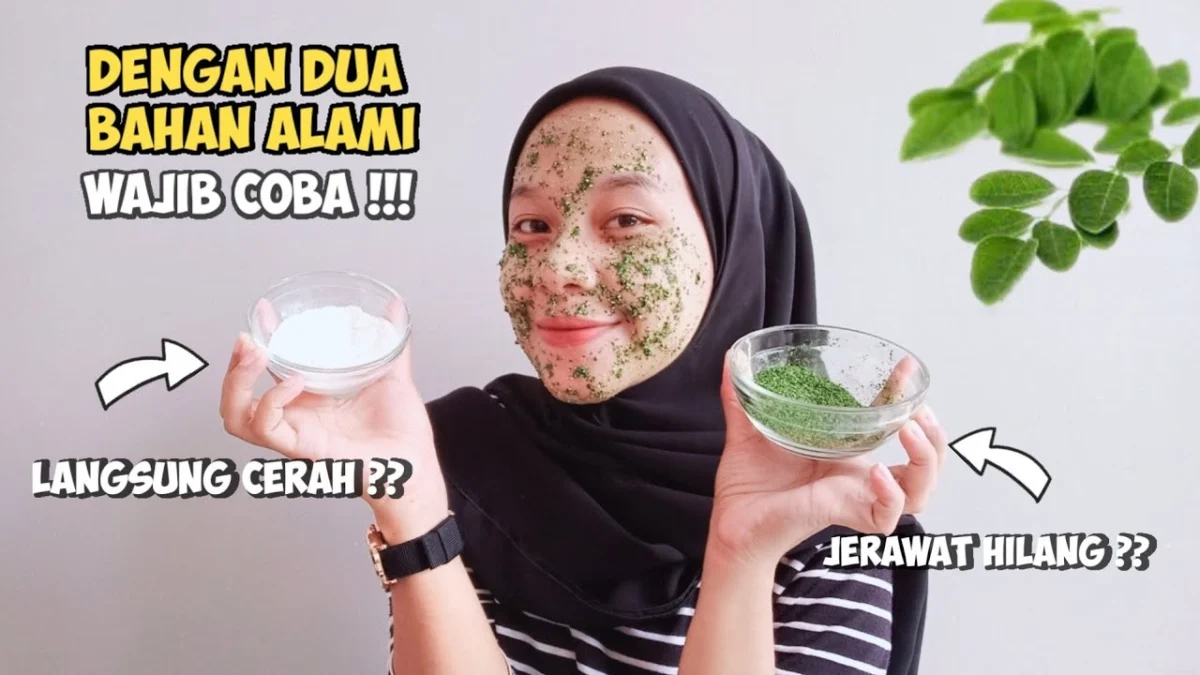 cara membuat masker daun kelor