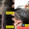 cara menggunakan teh basi untuk rambut