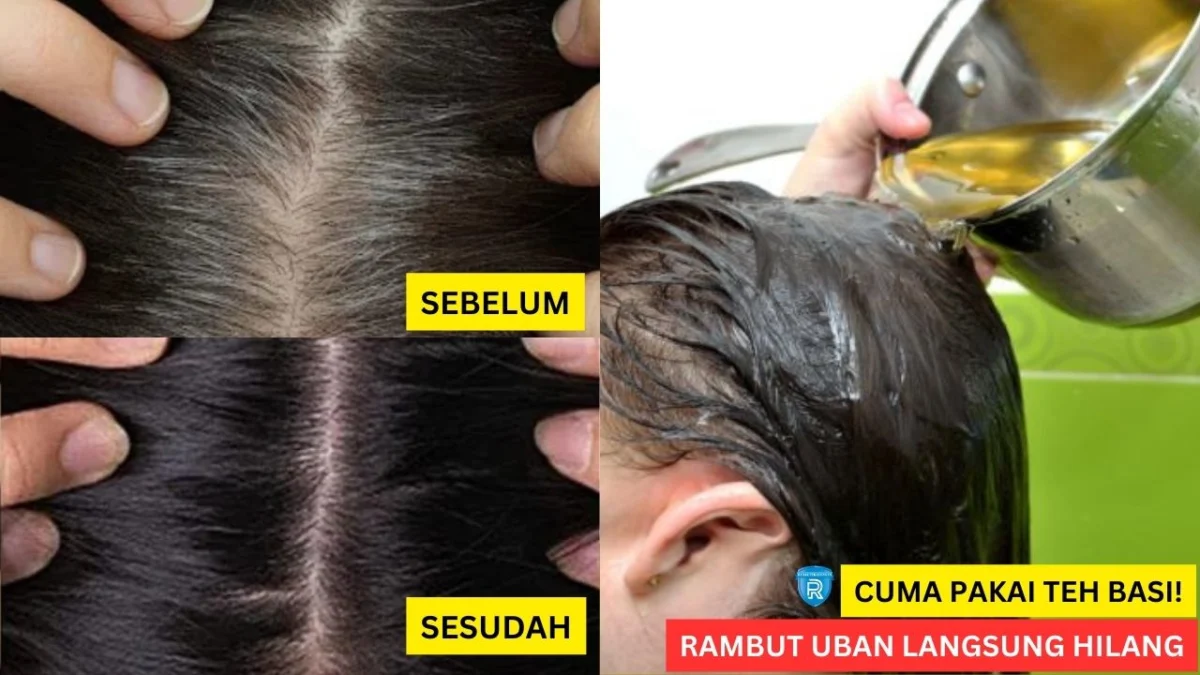 cara menggunakan teh basi untuk rambut