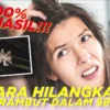 cara menghilangkan kutu rambut dengan cepat