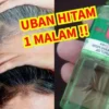 cara menghilangkan uban dengan minyak kayu putih