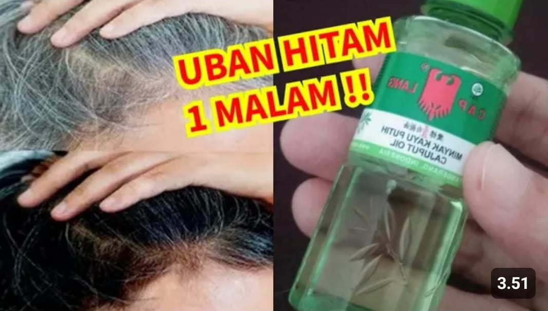 cara menghilangkan uban dengan minyak kayu putih