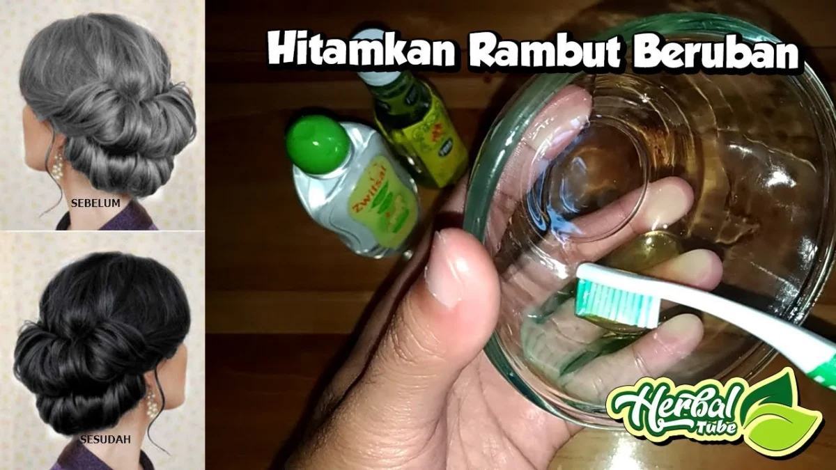 cara menghilangkan uban dengan minyak kayu putih cap lang