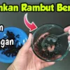 cara menghilangkan uban secara permanen dan alami