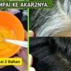 cara menghitamkan rambut