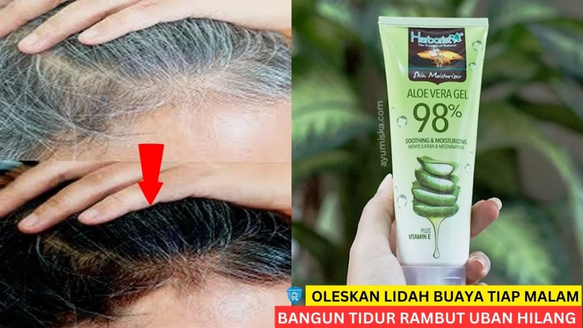 cara menghitamkan rambut beruban dengan lidah buaya