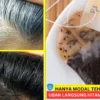 cara menghitamkan rambut beruban dengan teh basi