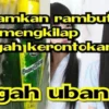 cara pakai minyak urang aring untuk rambut