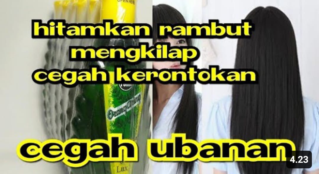 cara pakai minyak urang aring untuk rambut