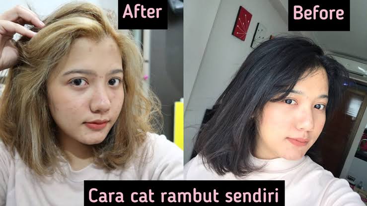 Cat rambut yang bagus