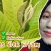 daun penghilang flek hitam di wajah