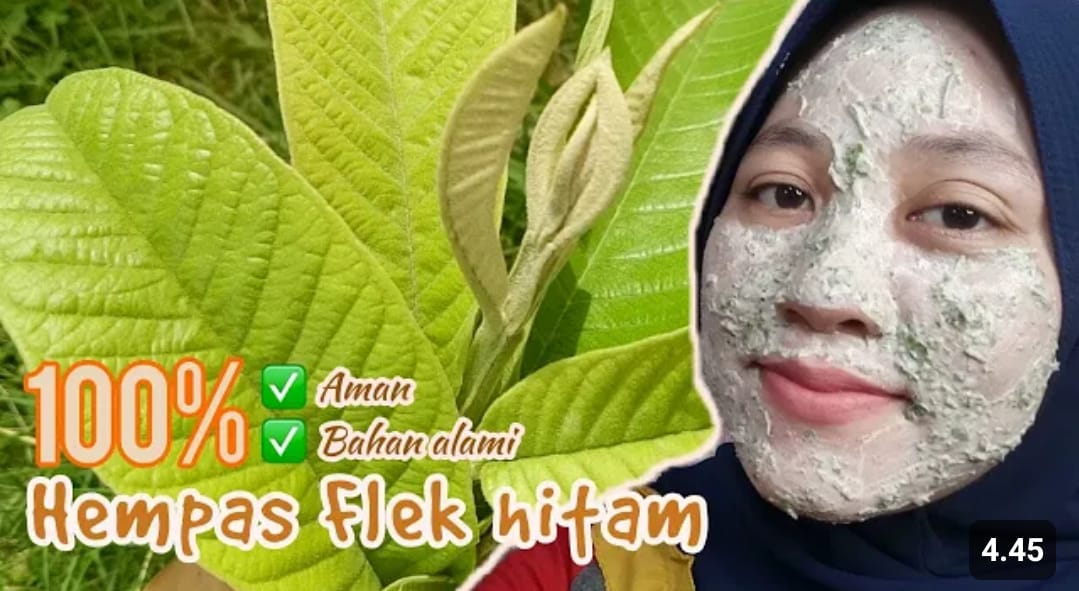 daun penghilang flek hitam di wajah