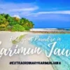 daya tarik dari Karimunjawa