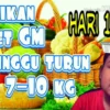 Menu diet 1 minggu turun 10 kg