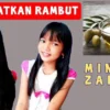 Fungsi minyak zaitun untuk rambut