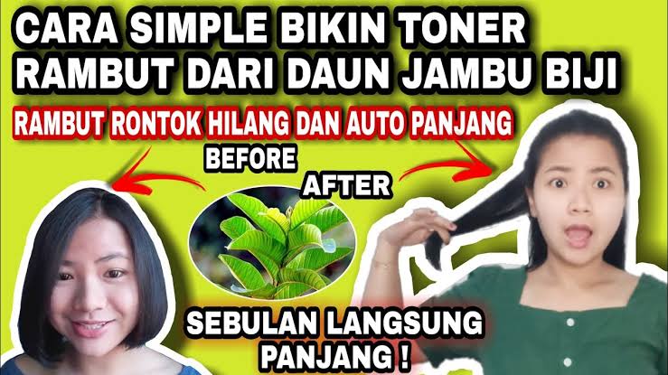 Khasiat daun jambu biji untuk rambut