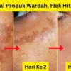 krim siang malam wardah untuk menghilangkan flek hitam