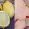 lemon untuk wajah