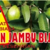 Manfaat air rebusan daun jambu biji