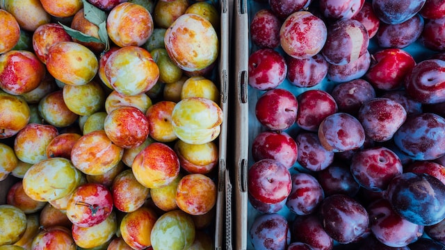 manfaat buah plum untuk kesehatan