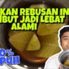 Manfaat daun jambu biji untuk rambut