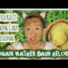 manfaat daun kelor untuk kesehatan