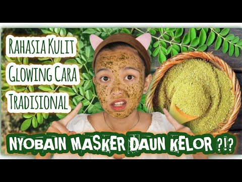 manfaat daun kelor untuk kesehatan