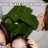 manfaat lidah buaya bagi rambut