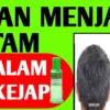 manfaat minyak kayu putih