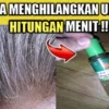 manfaat minyak kayu putih untuk rambut