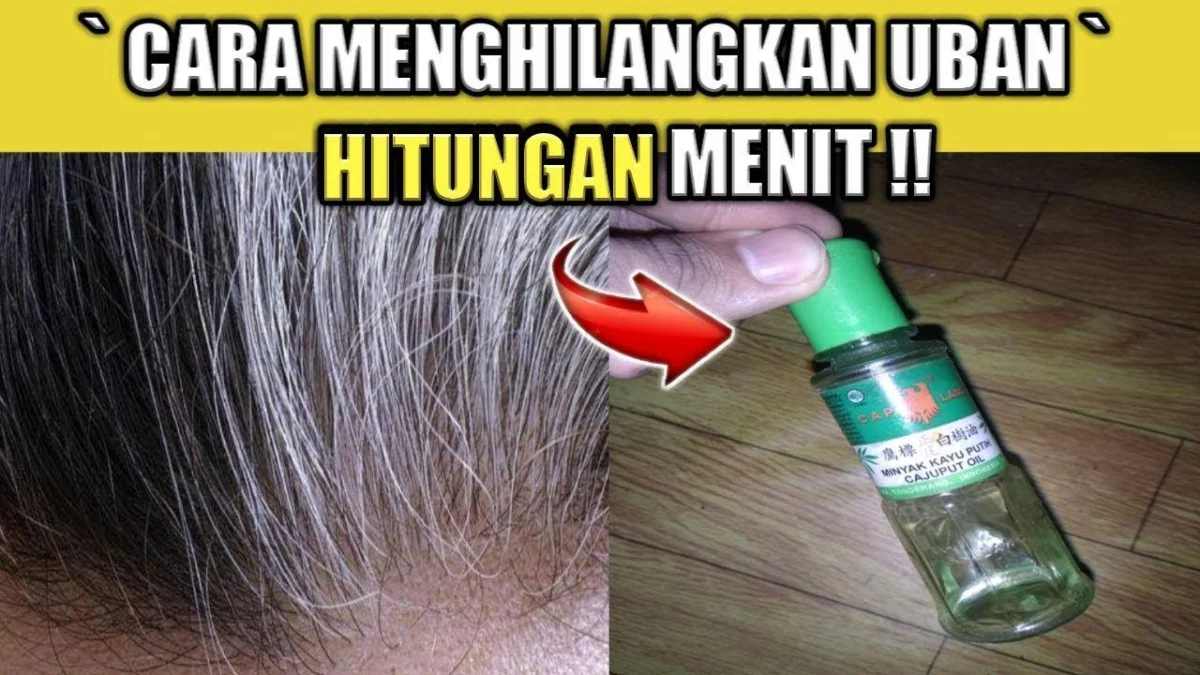 manfaat minyak kayu putih untuk rambut