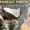 manfaat minyak kelapa untuk wajah