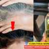 manfaat minyak zaitun mustika ratu untuk rambut beruban