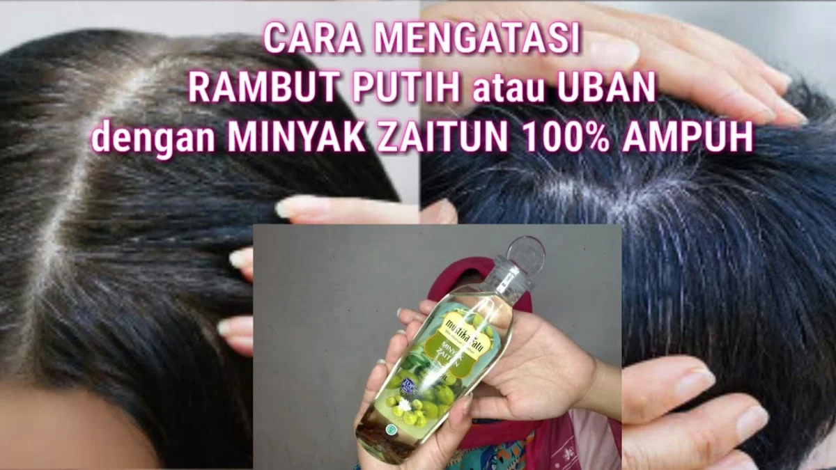 manfaat minyak zaitun untuk rambut beruban