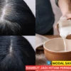 manfaat santan kelapa untuk rambut