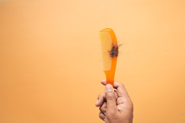 manfaat teh hijau untuk kesehatan rambut