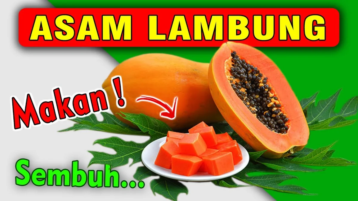 Manfaat Pepaya untuk Asam Lambung