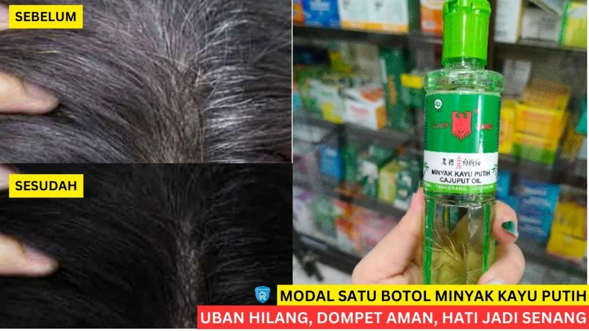 menghilangkan uban dengan minyak kayu putih