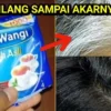 menghitamkan rambut beruban dengan teh basi