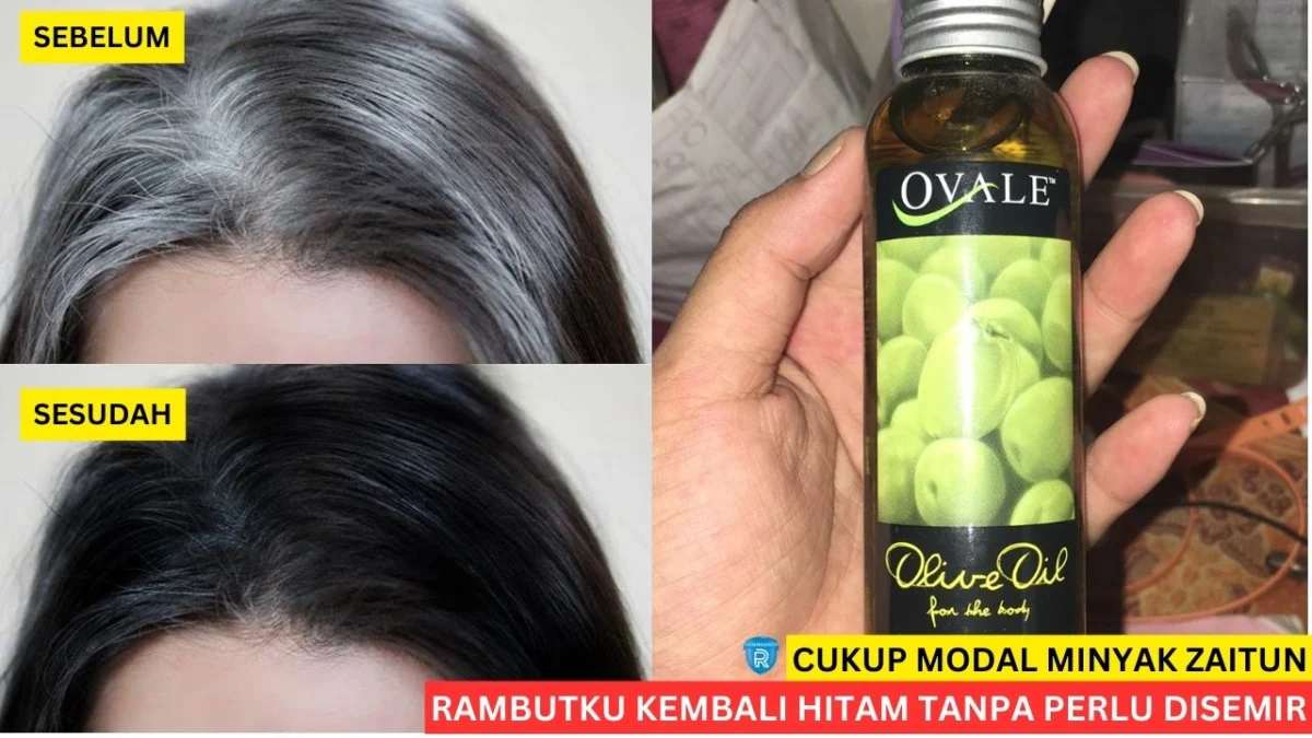 menghitamkan rambut dengan minyak zaitun