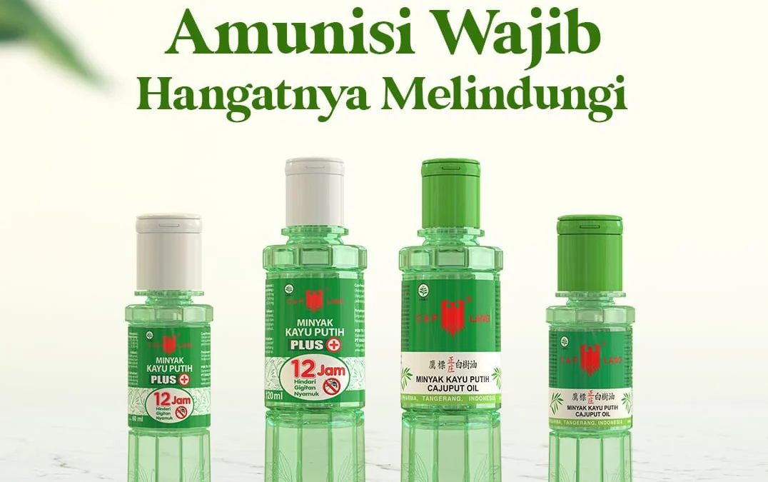 minyak kayu putih cap lang aromatherapy