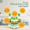 manfaat minyak kayu putih gajah