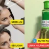 minyak kayu putih hilangkan uban