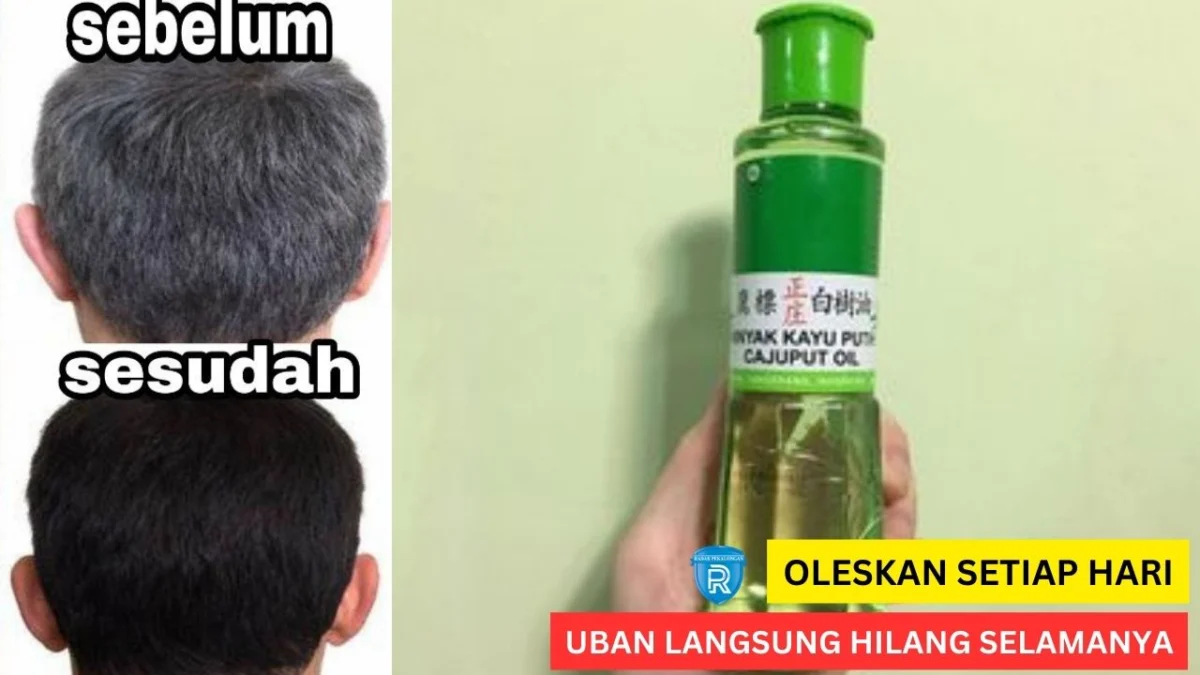 minyak kayu putih untuk uban